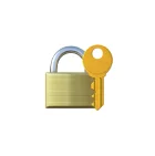 Security Icon 1